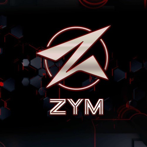 DJ ZYM Remix